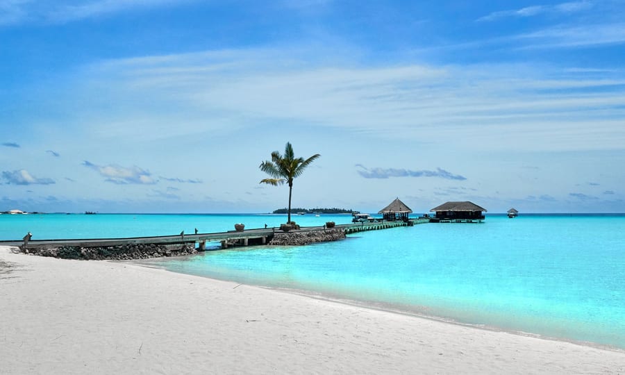 White sand beach with a palm tree and a wooden jetty leading to thatched huts over turquoise water