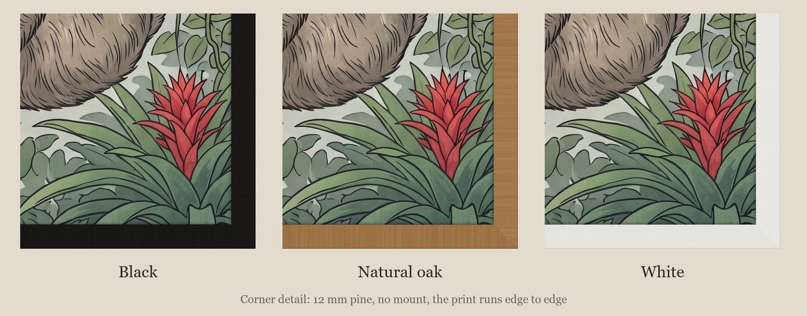Costa Rica Toucan and Sloth print: corner detail of each finish
